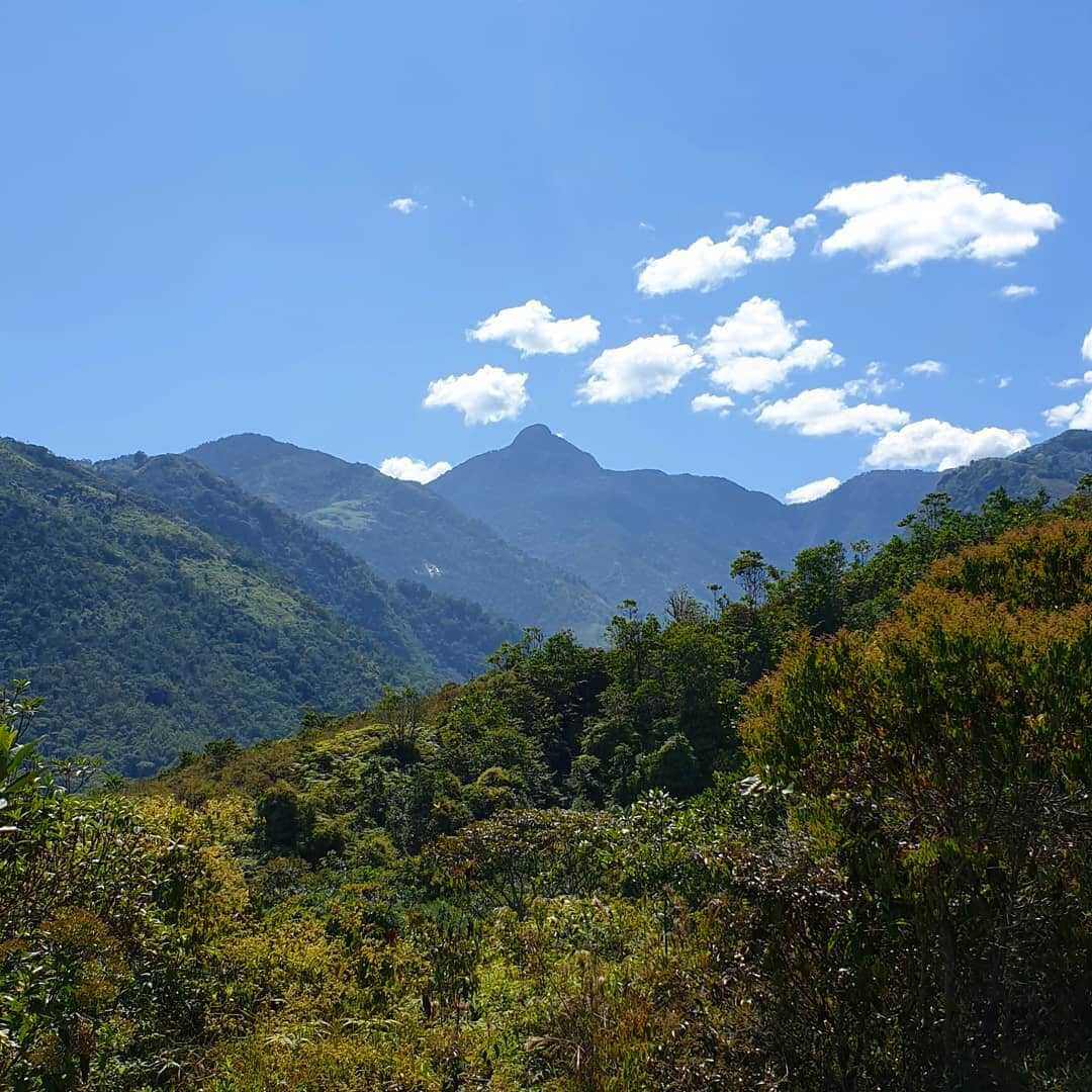Sendero a Pico de Loro