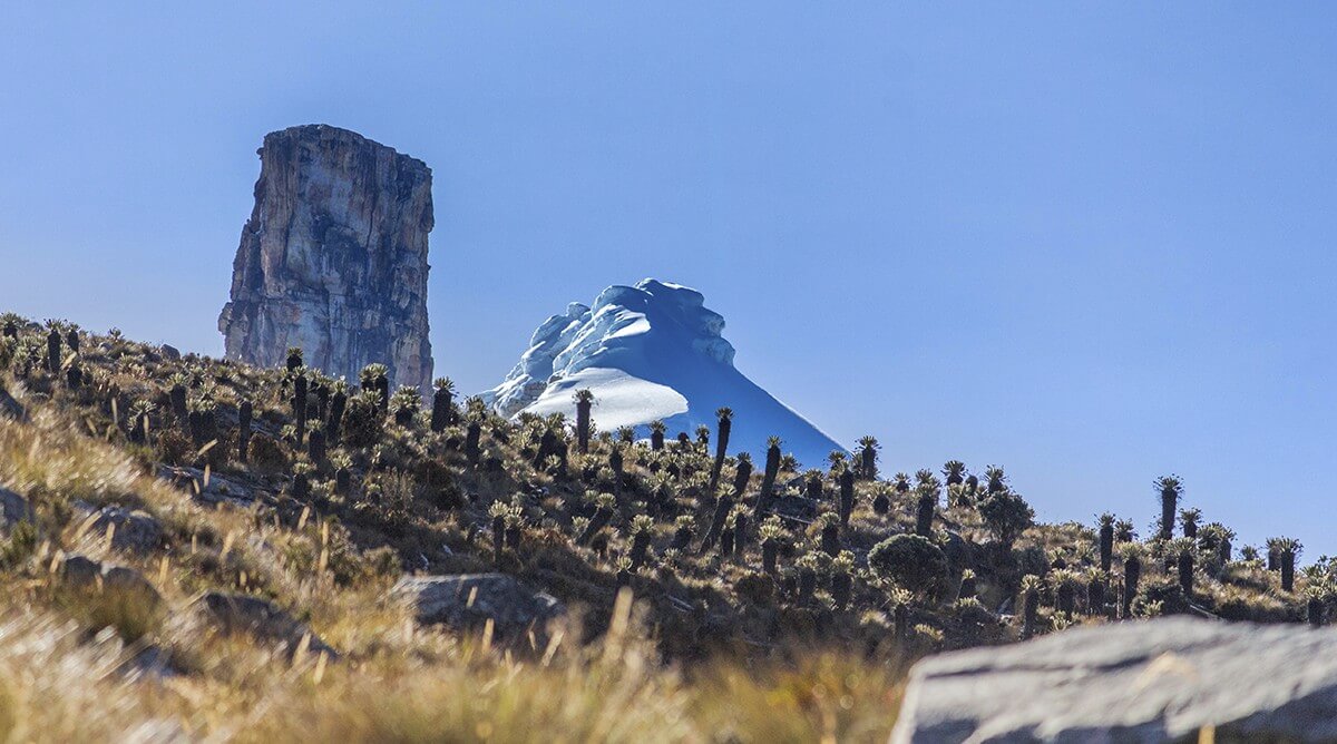 Parques naturales para visitar en Colombia