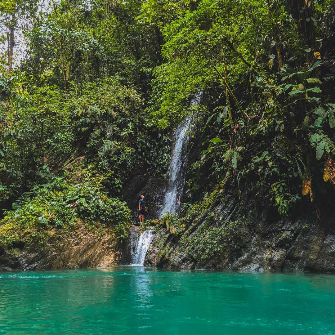 Del valle cauca buenaventura danubio El Danubio