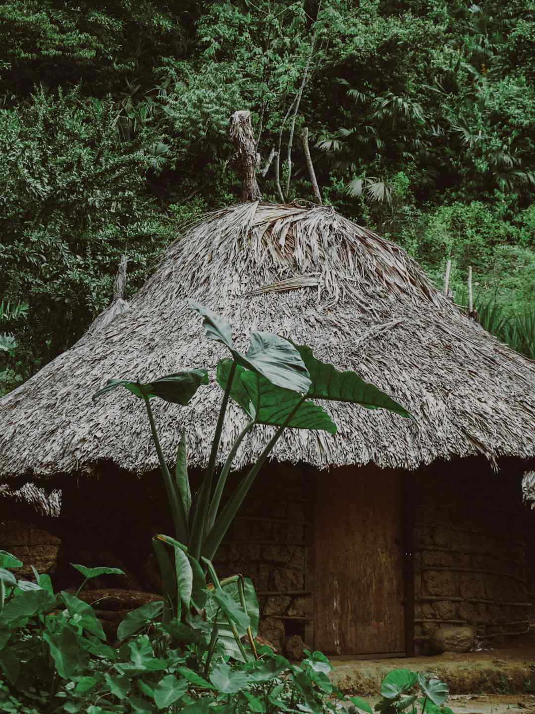 Casas indígenas Kogui