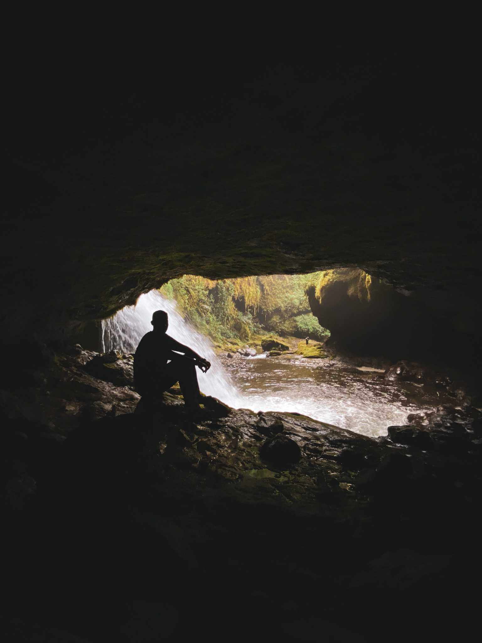 Cueva de los Guácharos