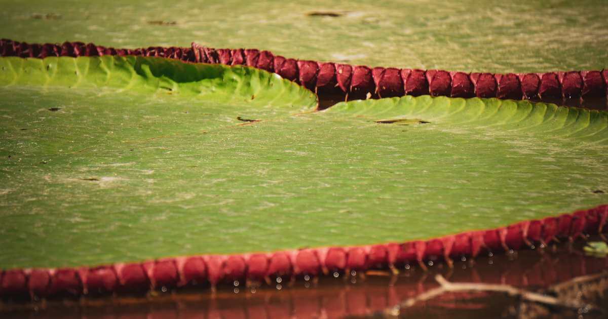 10 Destinos para conocer en Colombia