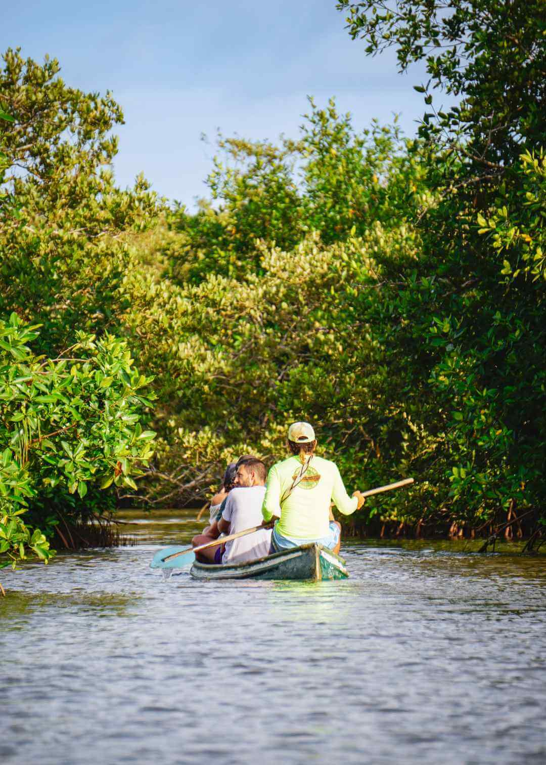 Paseo en canoa por los manglares de Rincón del Mar Sucre Colombia