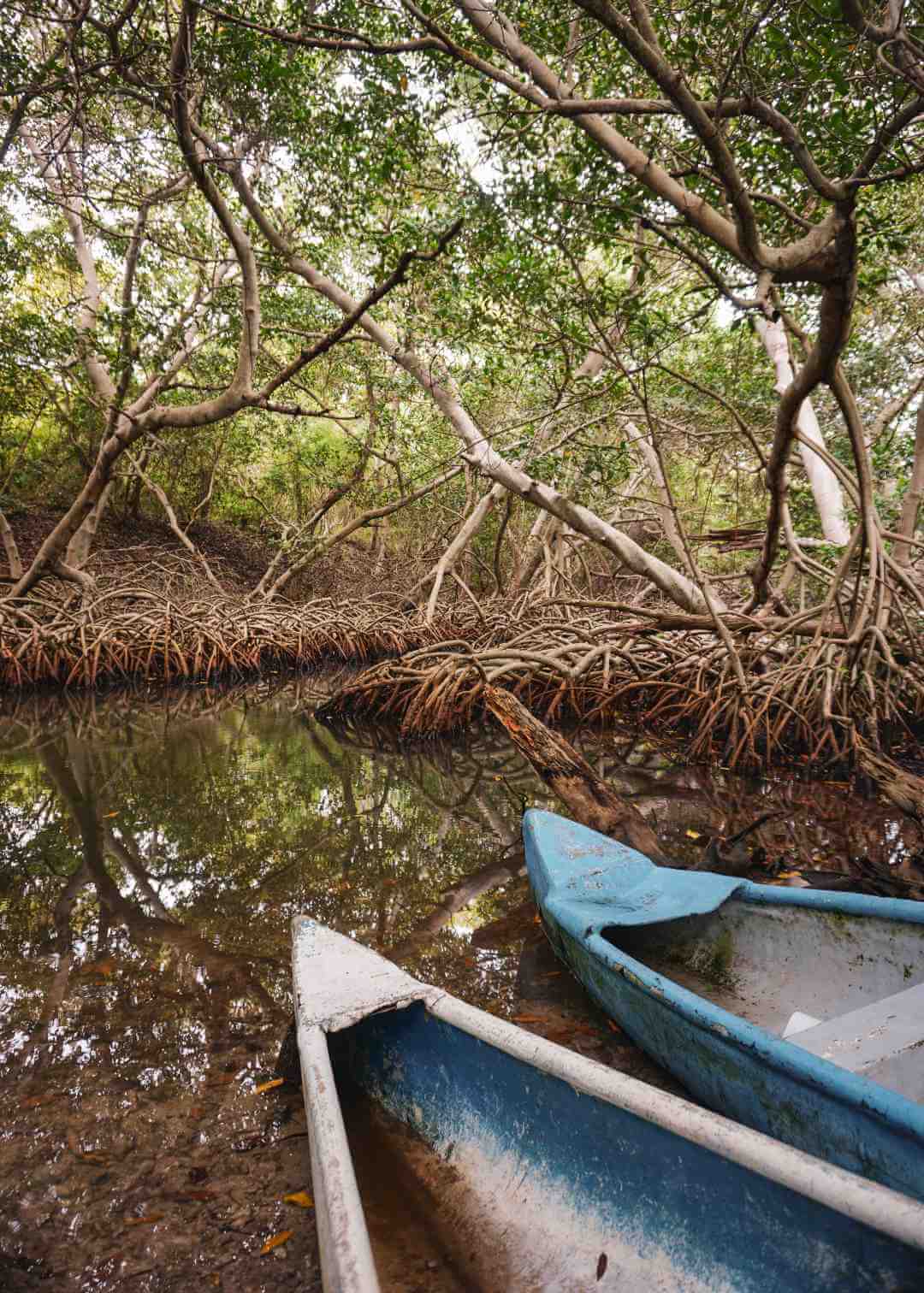 Paseo en kayak por las lagunas de Isla Grande