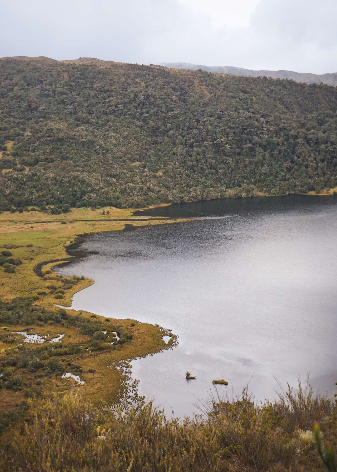 Laguna de Chingaza Colombia