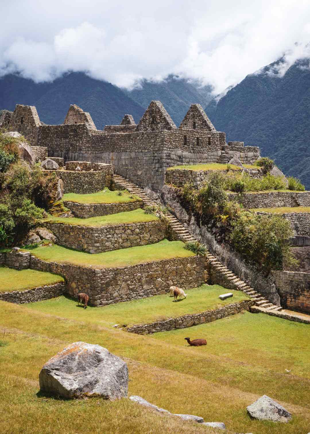 Qué ver en Machu Picchu