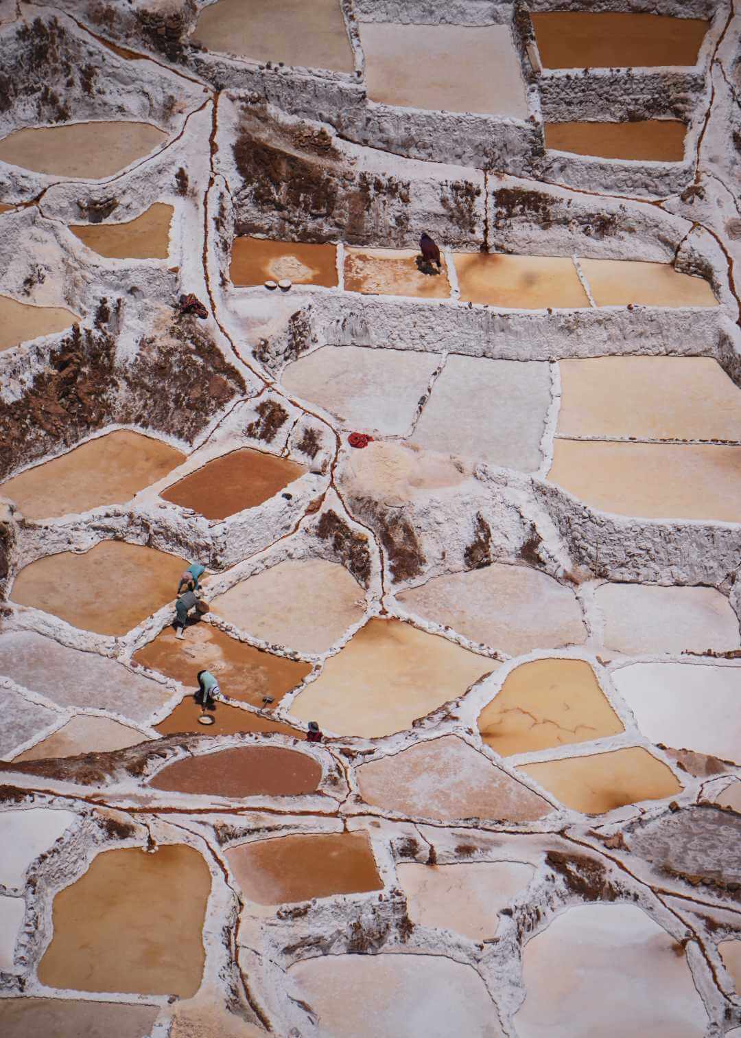 Trabajadores recogiendo sal en las salineras de Maras