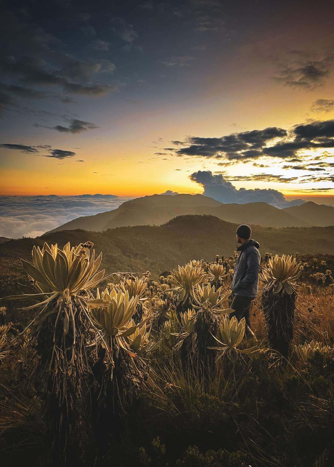 Amanecer en el páramo del Sol en Antioquia Colombia