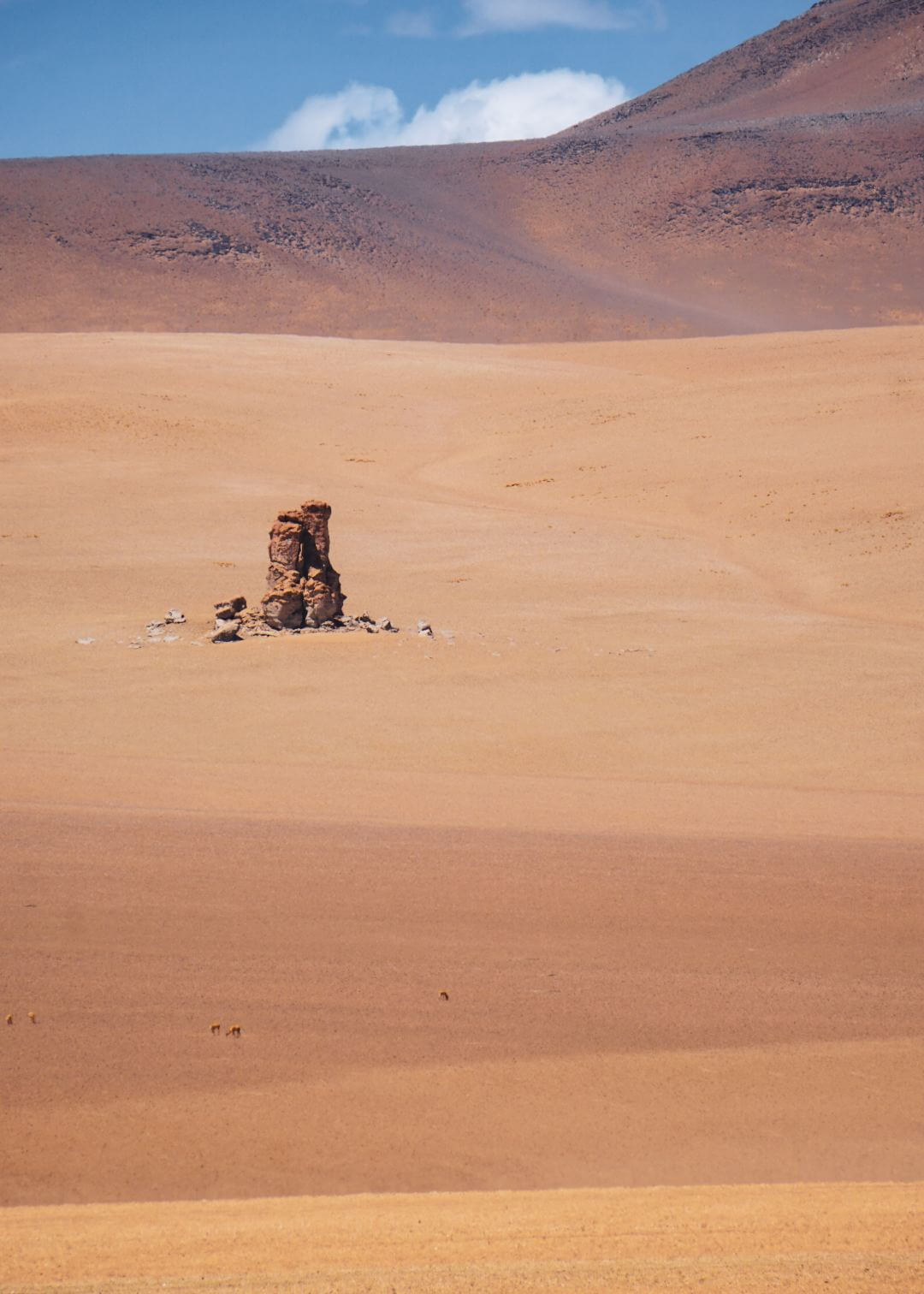 Desierto Salvador Dalí en Bolivia