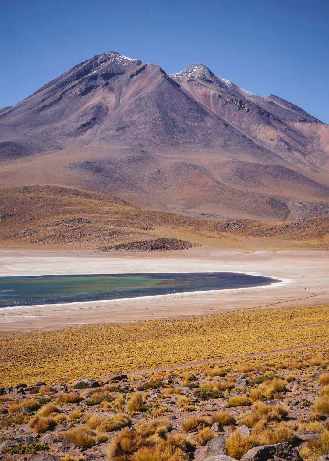 Lagunas altiplánicas en la puna del desierto de Atacama