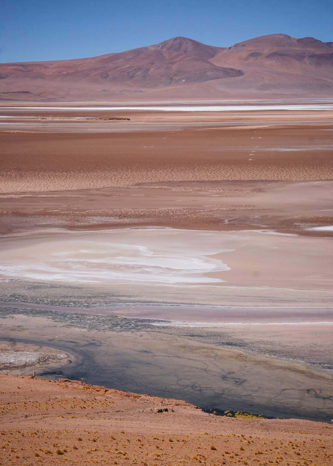 Salar de Quisquiro o de Loyoques al norte de la Región de Antofagasta