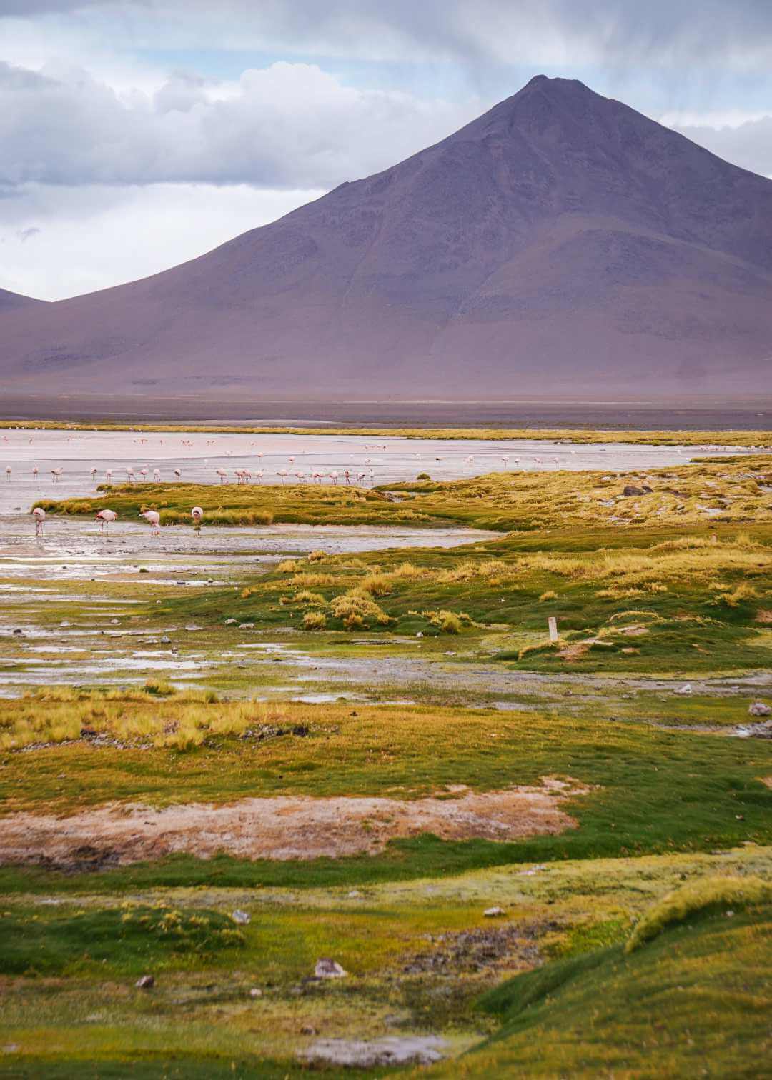 Tour al Salar de Uyuni desde San Pedro de Atacama Chile