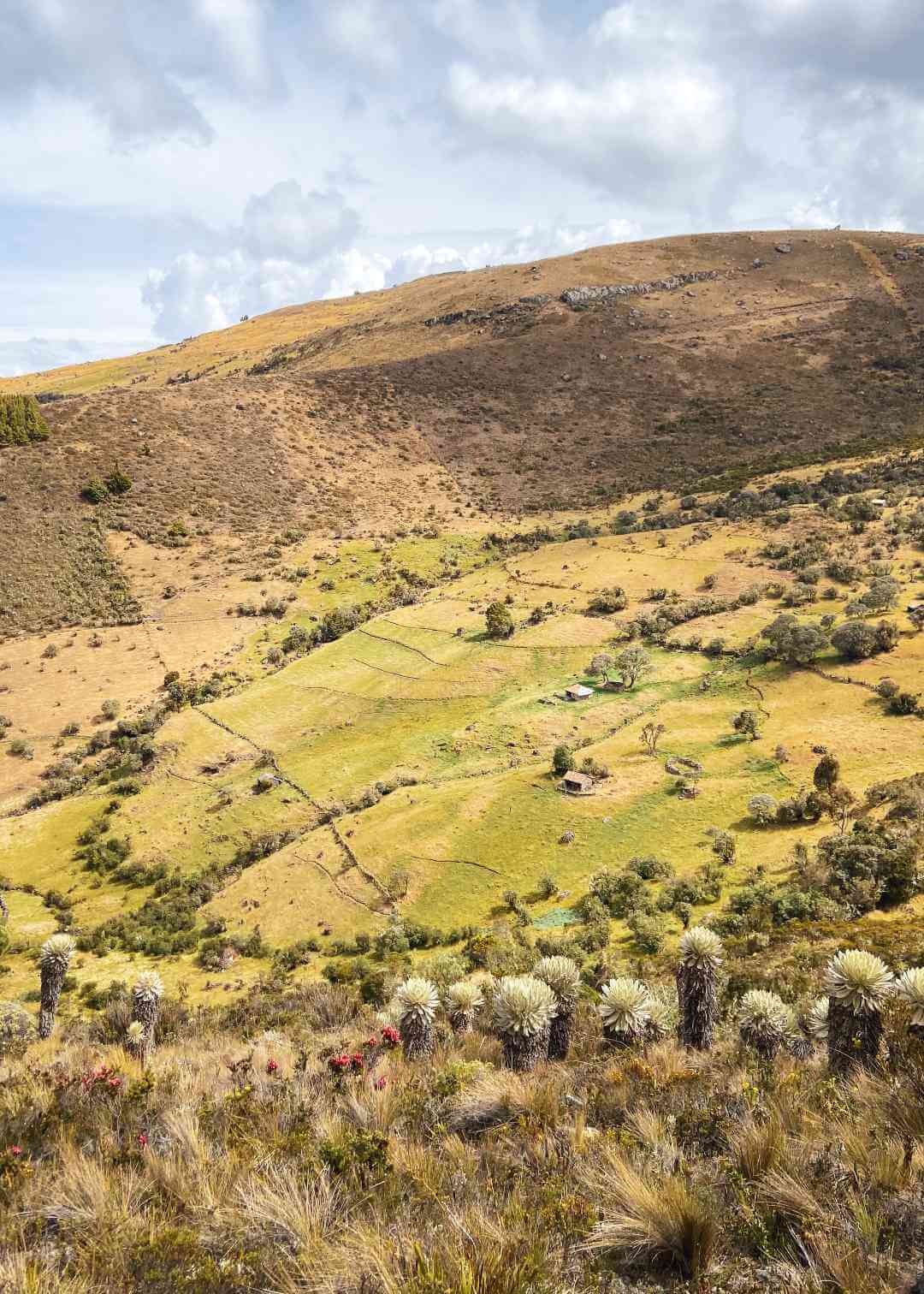 Valle del páramo de Ocetá en el departamento de Boyacá, Colombia