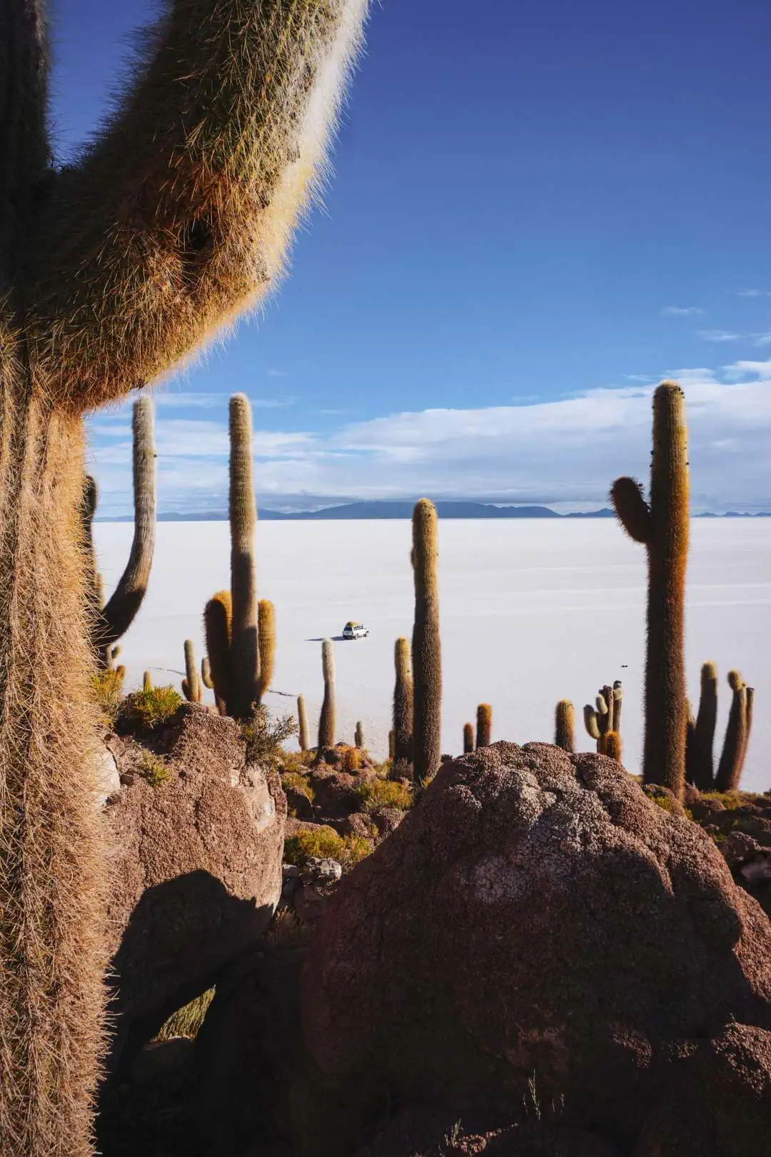 Viaje organizado al Salar de Uyuni