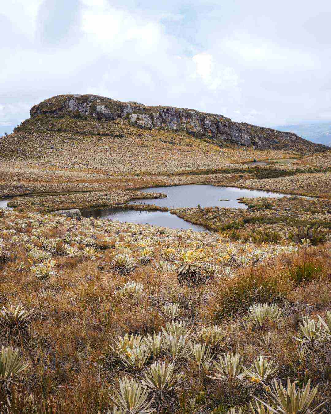 Lugares de naturaleza para conocer en Bogotá