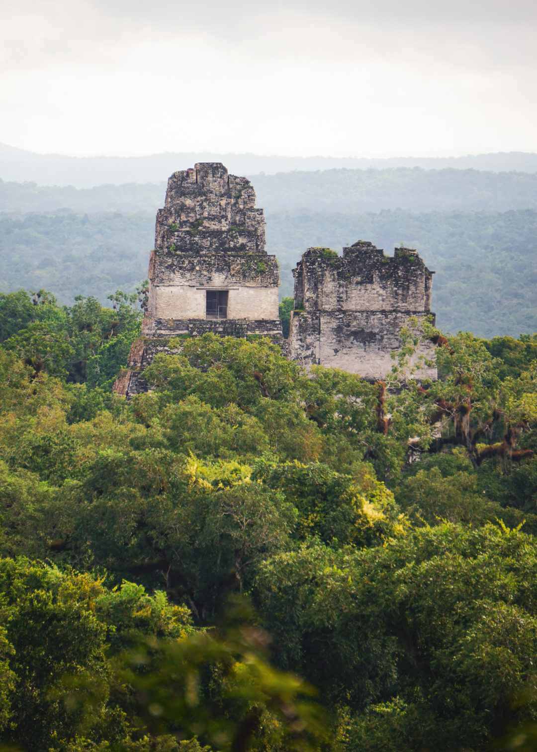 Pirámides de Tikal sobre la selva
