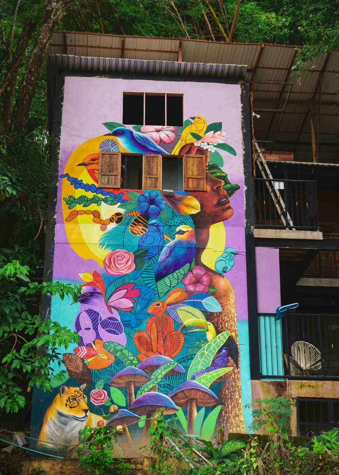 Mural de aves en Minca Santa Marta