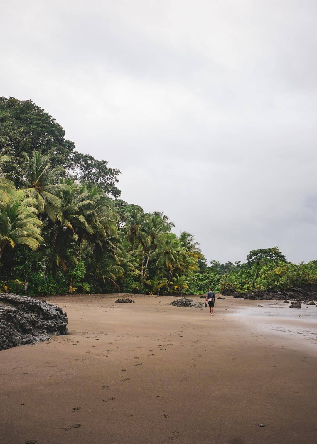 Encuentro entre la playa y las selvas colombianas del Chocó