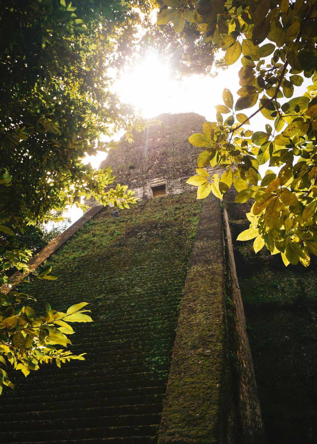 Tikal Guatemala cómo llegar