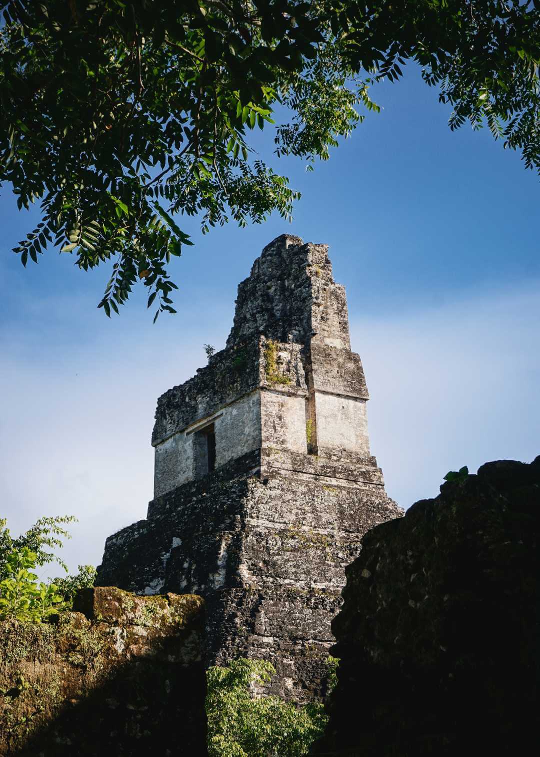 Tikal ubicación
