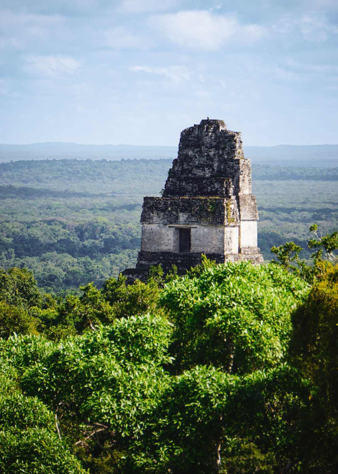 Tours a Tikal desde Flores y Ciudad de Guatemala