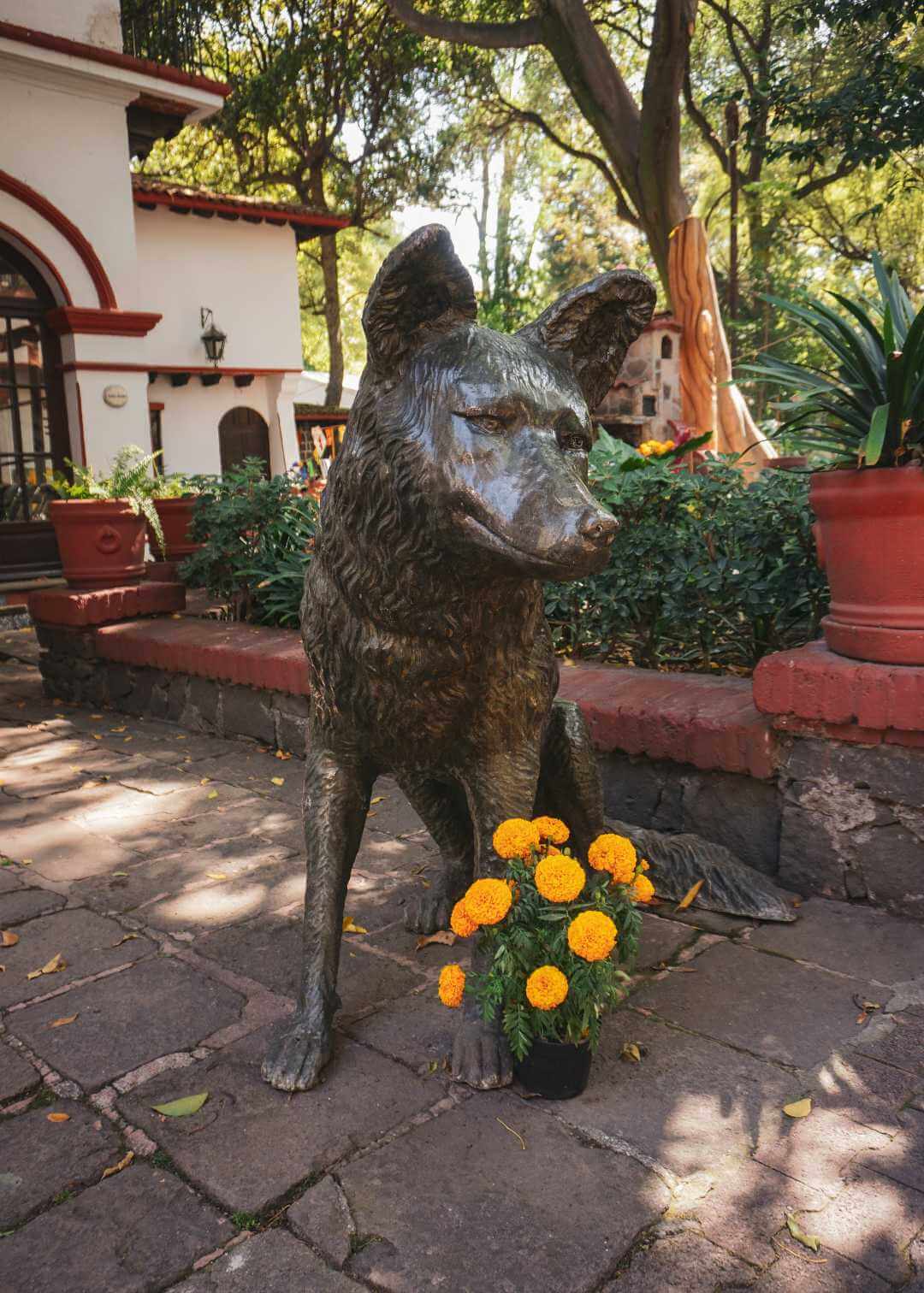 Estatua de coyote en Coyoacán CDMX