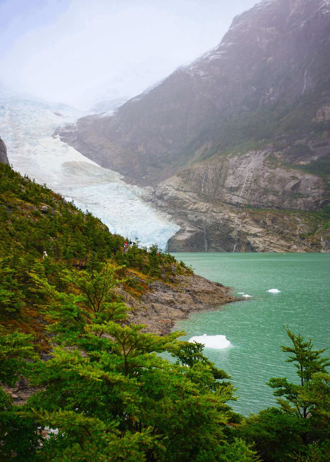 Sendero que conduce al Glaciar Serrano