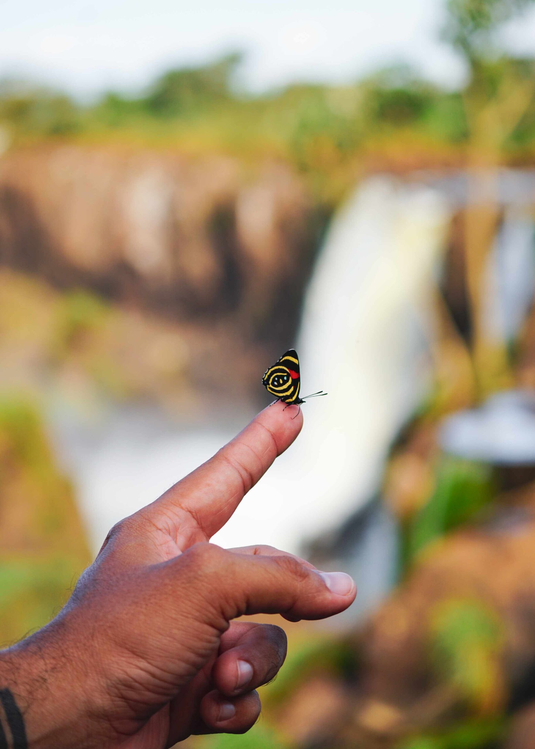 Mariposa 88 con una cascada al fondo