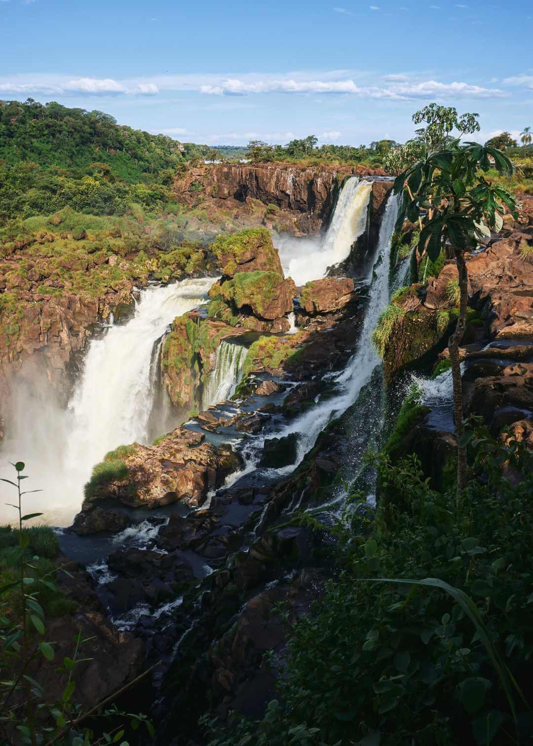 Parque Nacional Iguazú Argentina