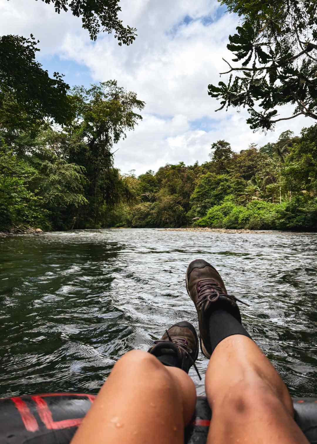 Reserva Forestal San Cipriano