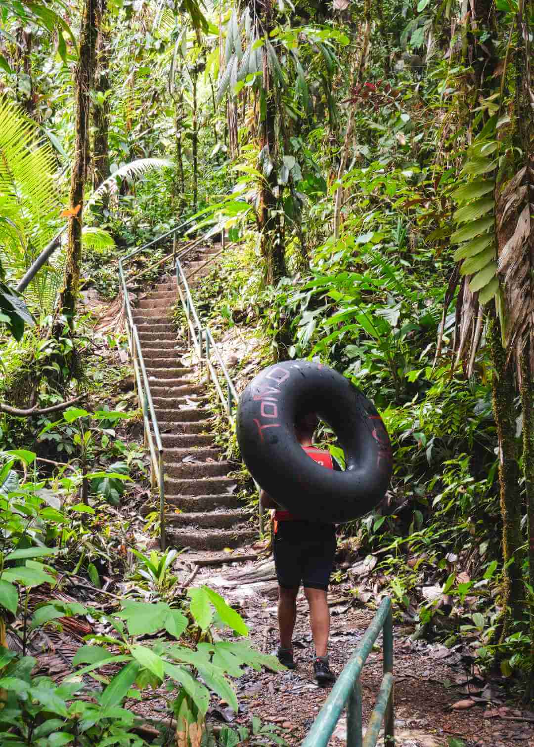 Selva de Buenaventura