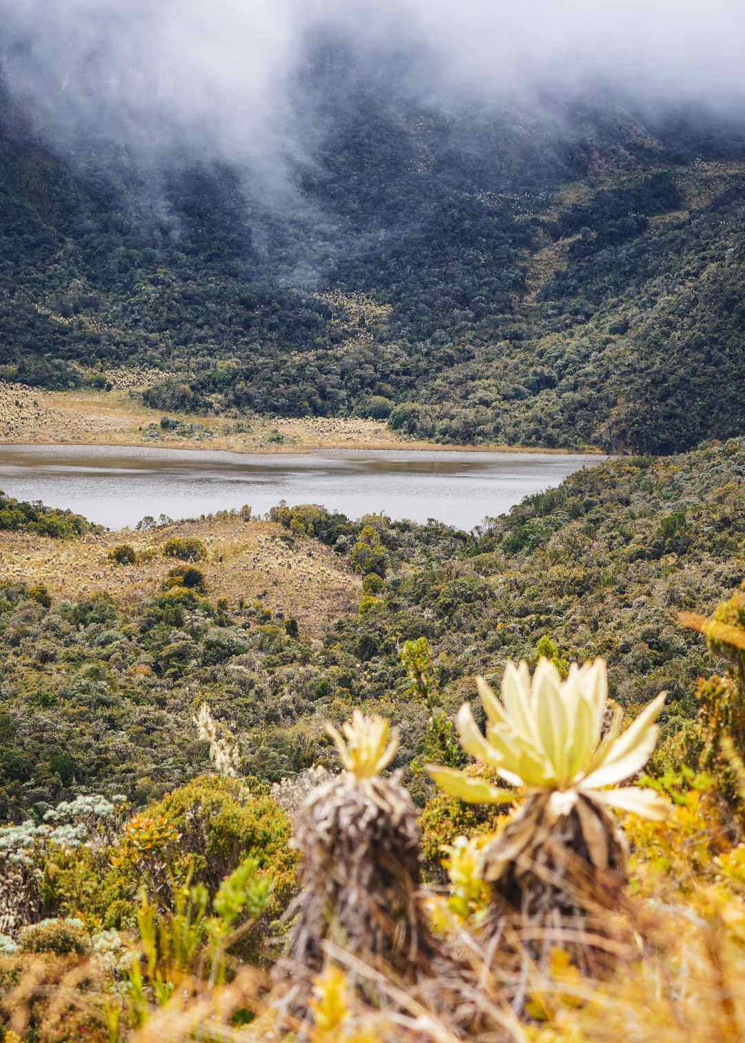 Laguna de Telpis