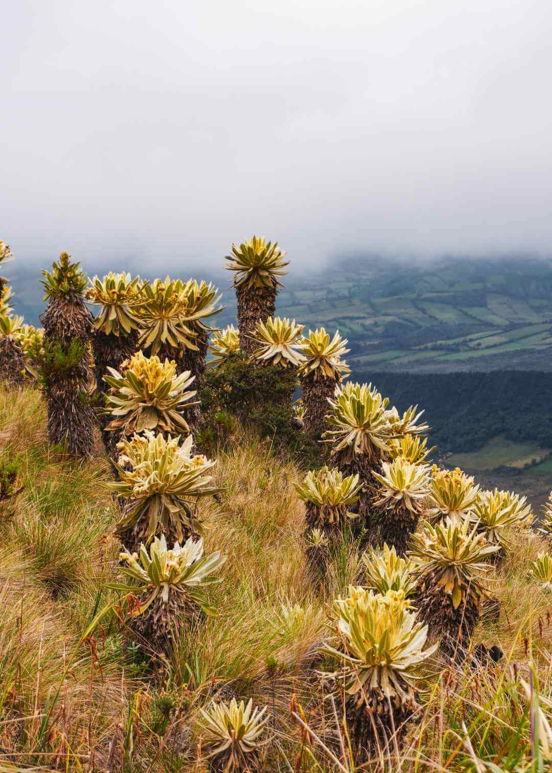 Volcanes cerca a Pasto Nariño