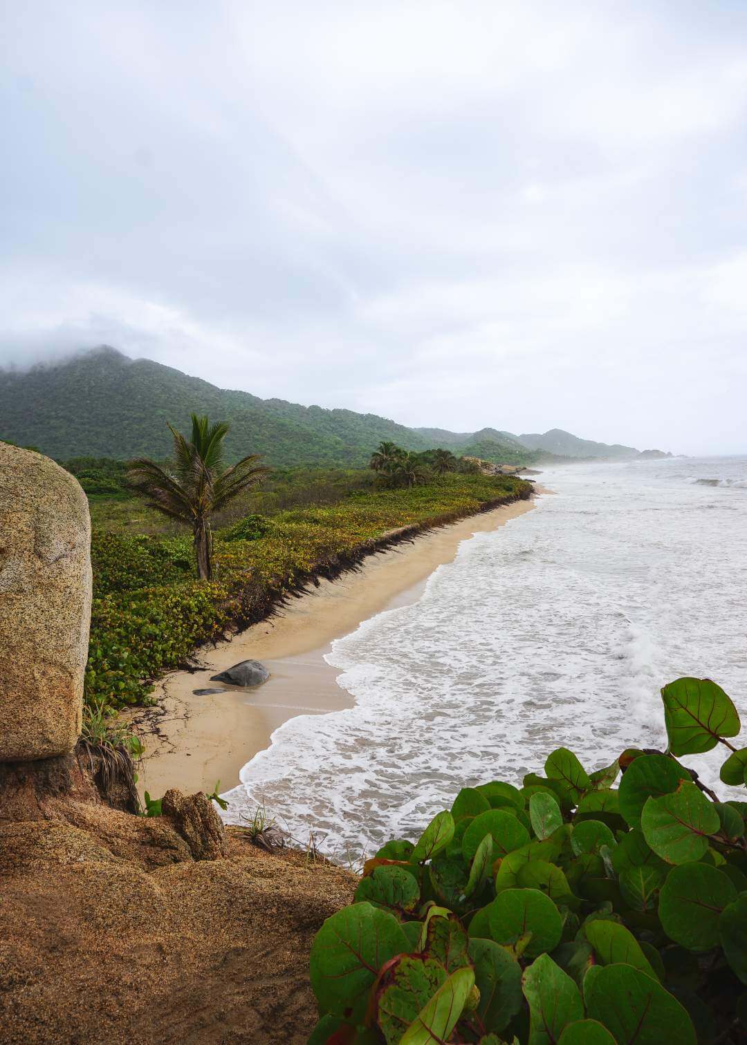 Playa Parque Tayrona Santa Marta