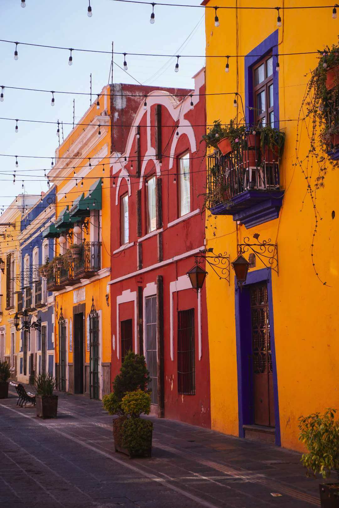 Callejón de los Sapos