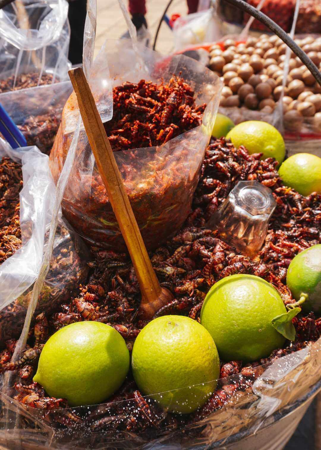 Chapulines en Cholula