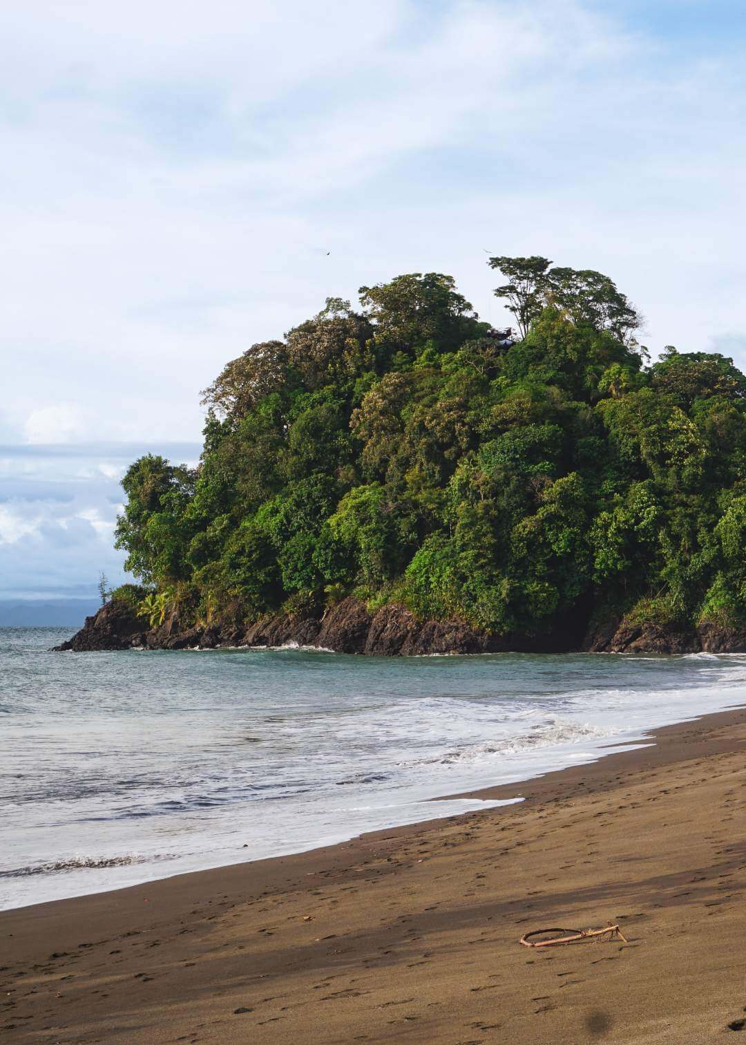 Whale watching tour in Nuquí Chocó