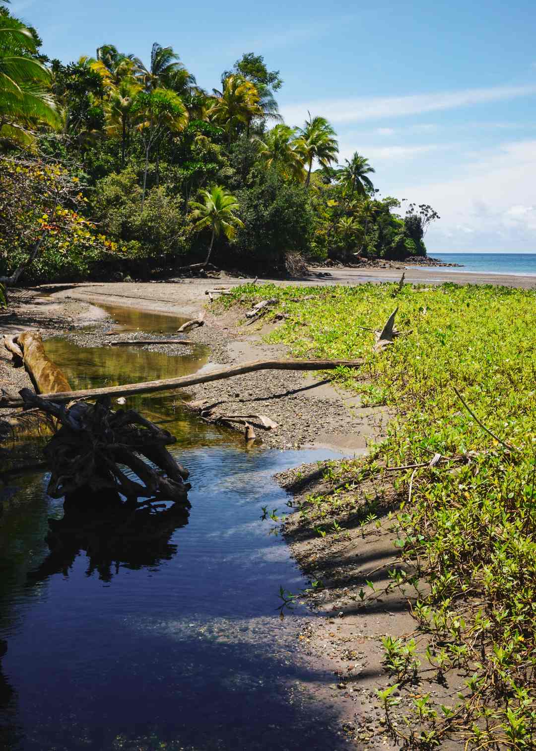 Dónde queda Isla Gorgona