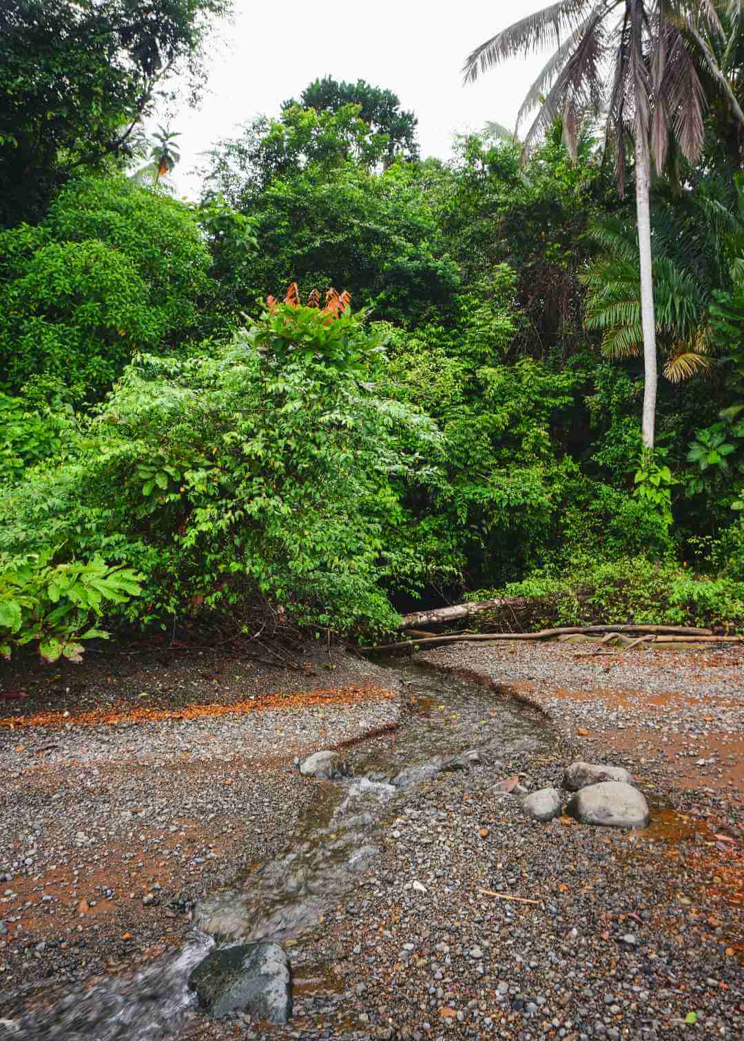 Nacimiento de agua dulce en Playa Yundigua