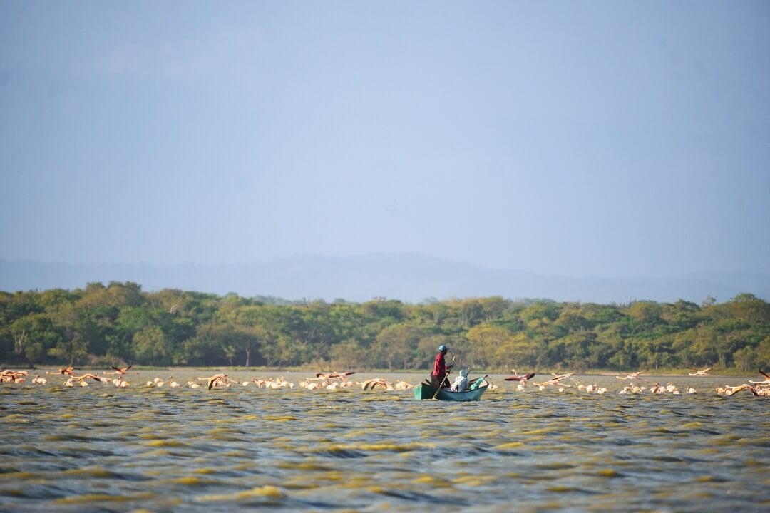 Parque de los flamencos Guajira