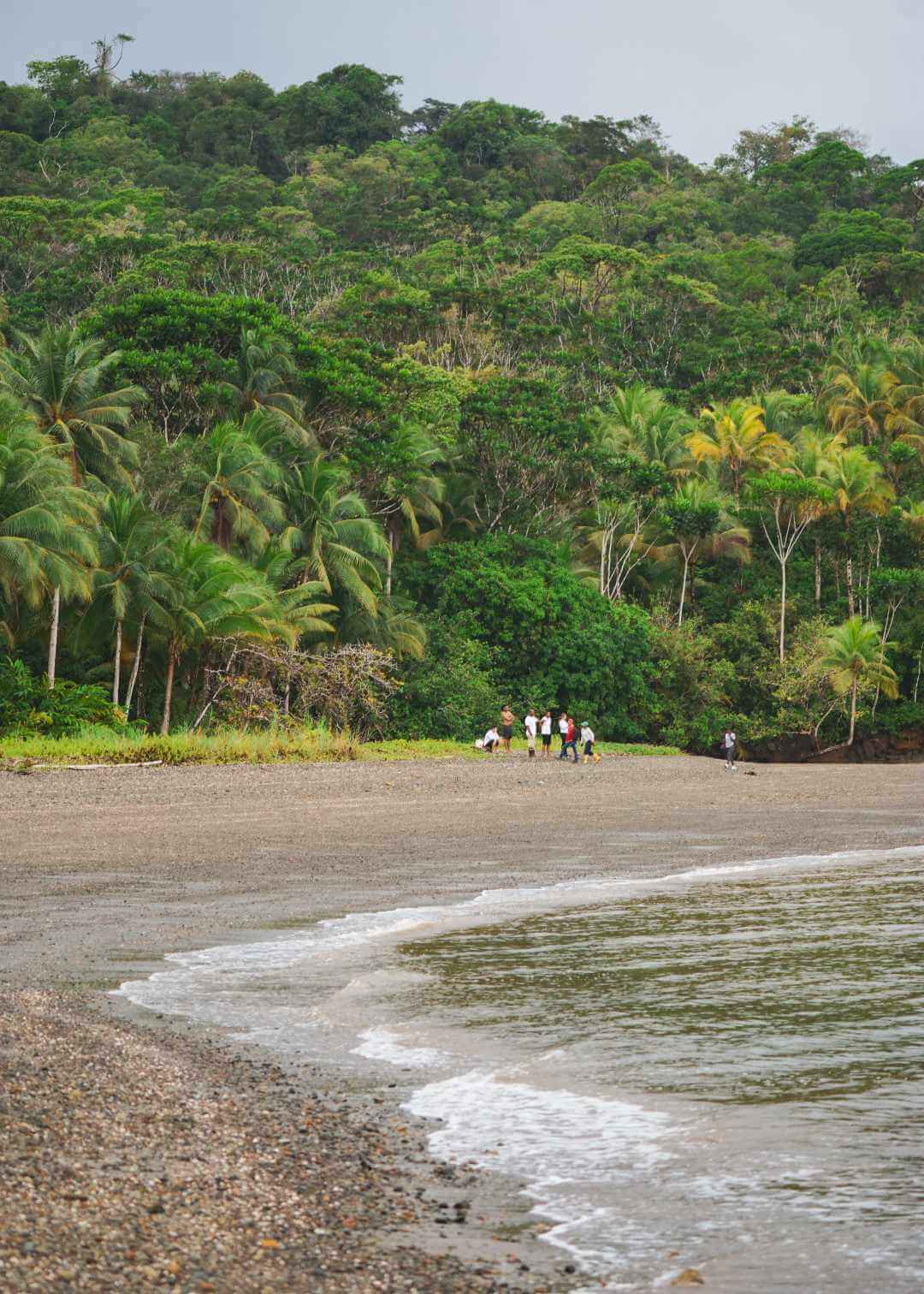 Playas de Isla Gorgona Cauca