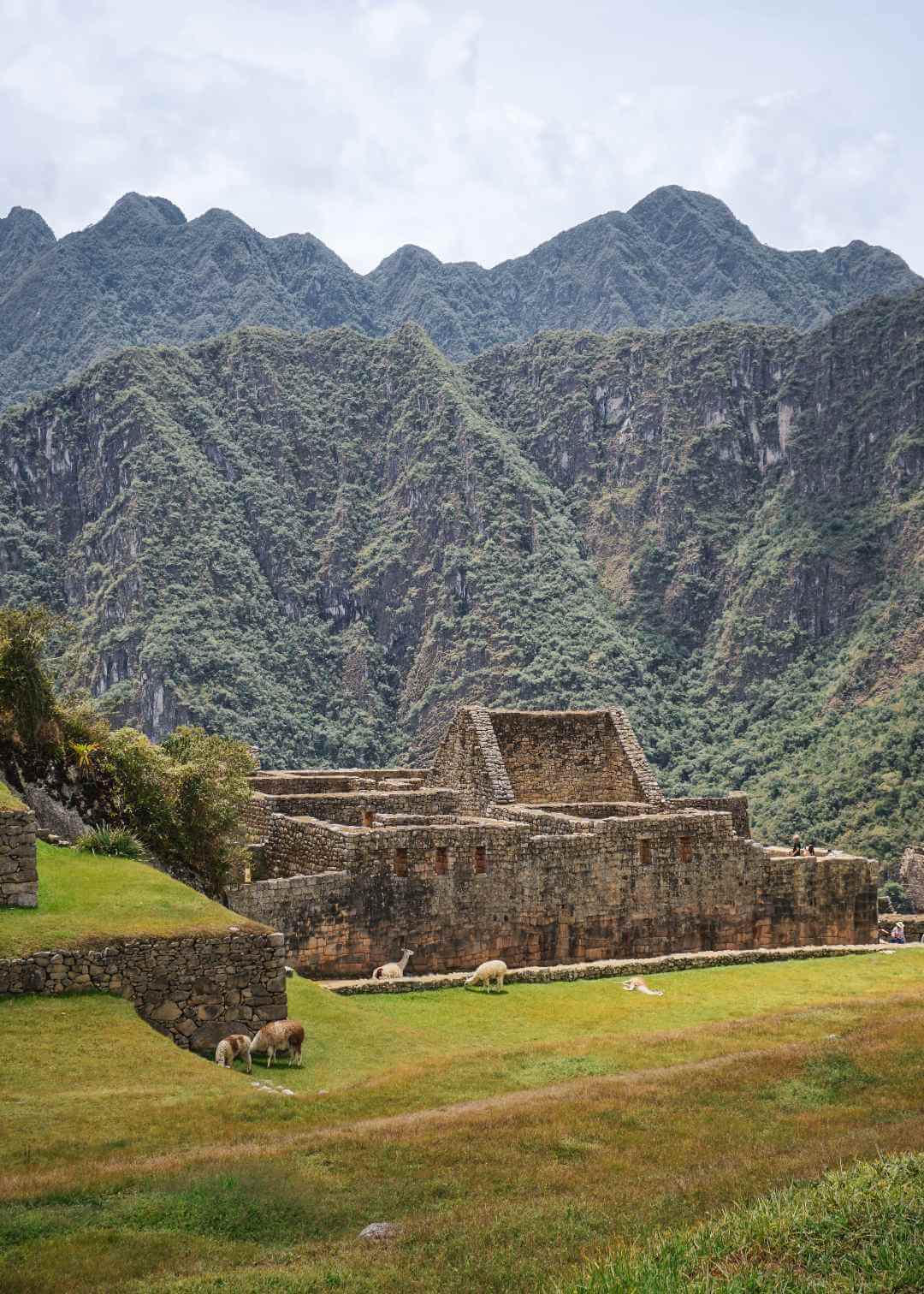 Qué ver en Machu Picchu