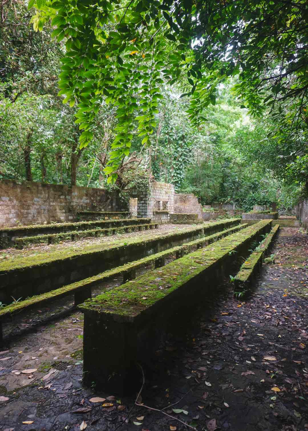 Ruinas del penal de Gorgona