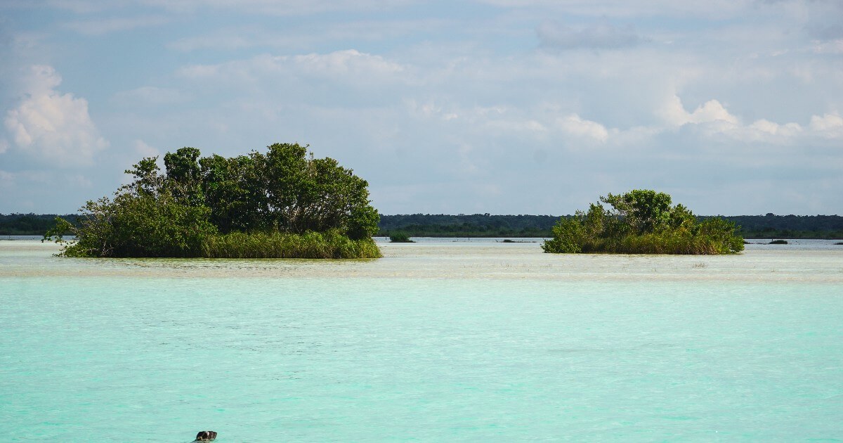 Actividades Bacalar México