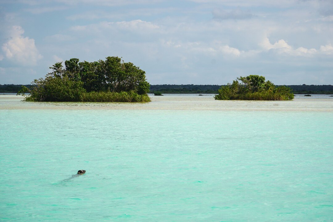 Isla de los Pájaros