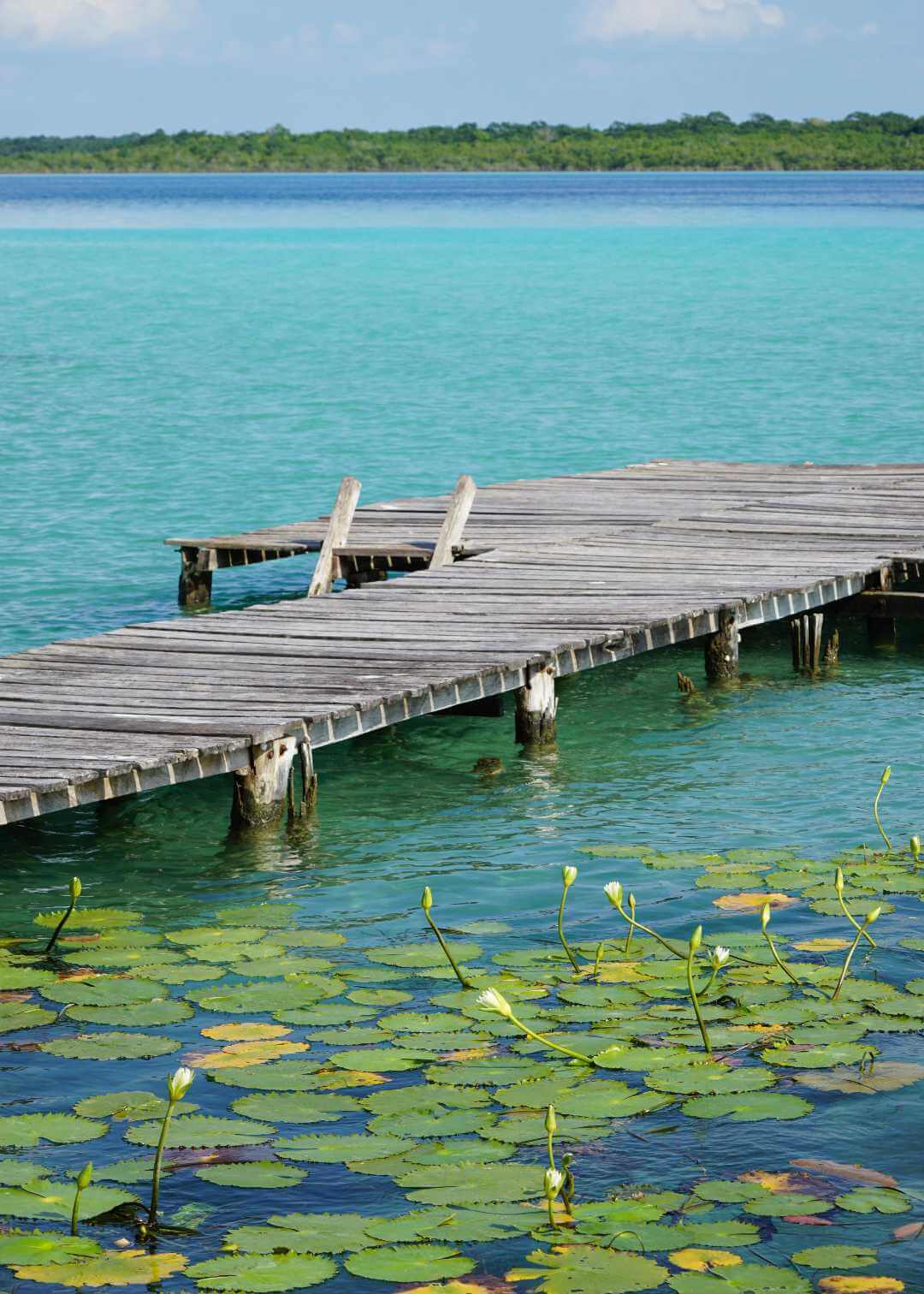 Muelle frente a la laguna