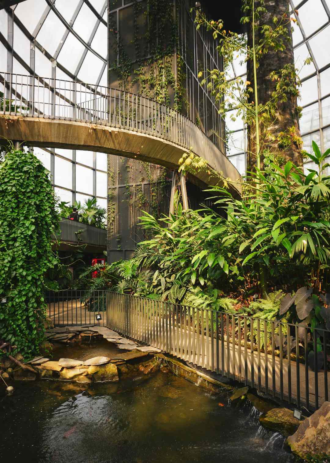 Interior del Tropicario del Jardín Botánico de Bogotá