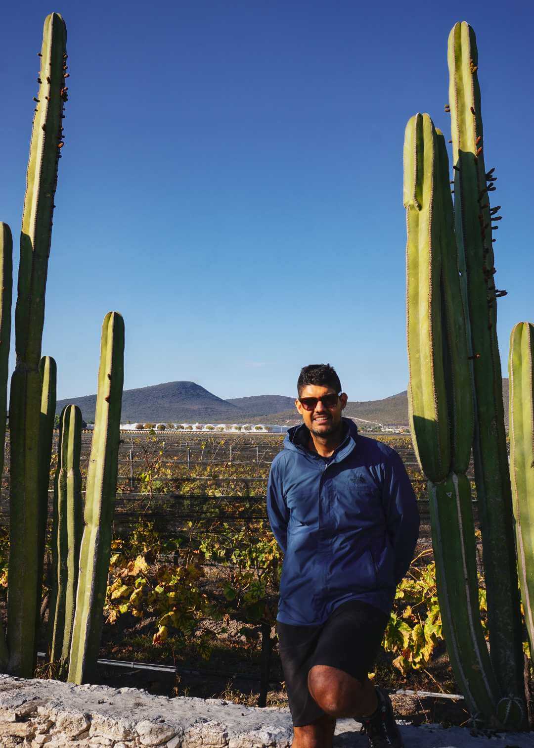 Mauricio en el viñedo de Freixenet en Querétaro