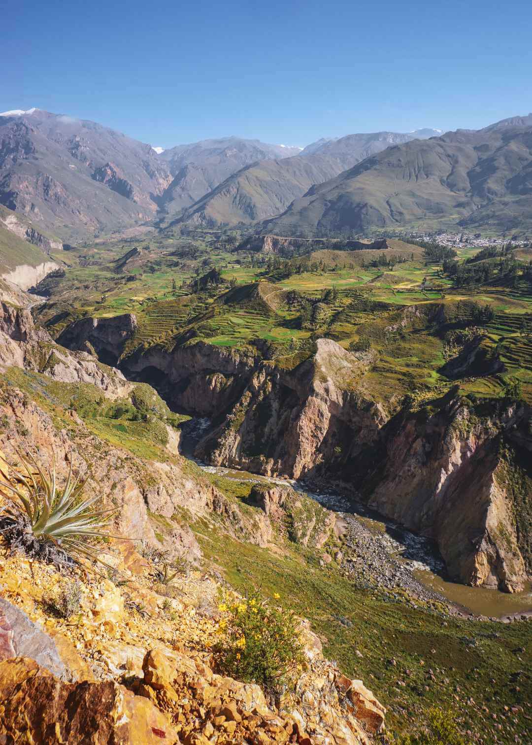 Cañon del Colca Perú