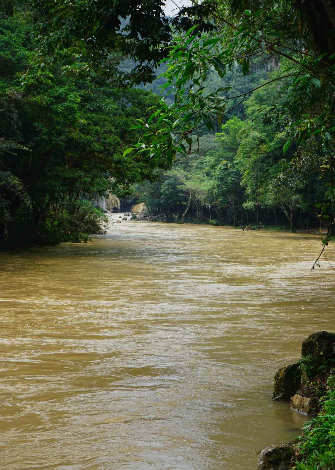 Semuc Champey hoteles